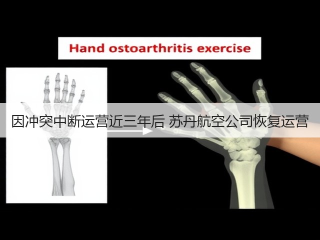 因冲突中断运营近三年后 苏丹航空公司恢复运营(图1) 因冲突中断运营近三年后 苏丹航空公司恢复运营(图1)