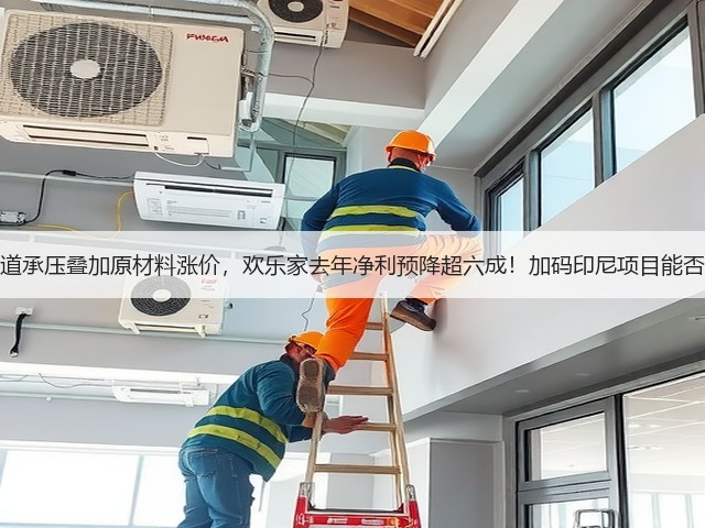 销售渠道承压叠加原材料涨价，欢乐家去年净利预降超六成！加码印尼项目能否破局？(图1)