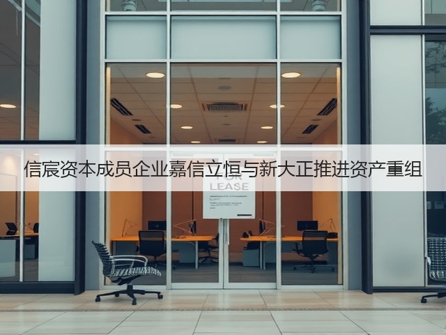 信宸资本成员企业嘉信立恒与新大正推进资产重组(图3)