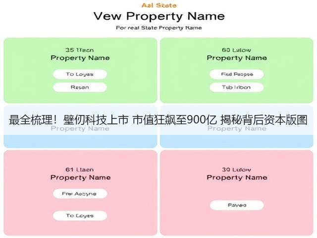 最全梳理！壁仞科技上市 市值狂飙至900亿 揭秘背后资本版图(图2)