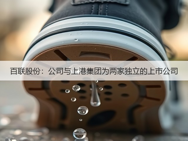 百联股份：公司与上港集团为两家独立的上市公司(图1)