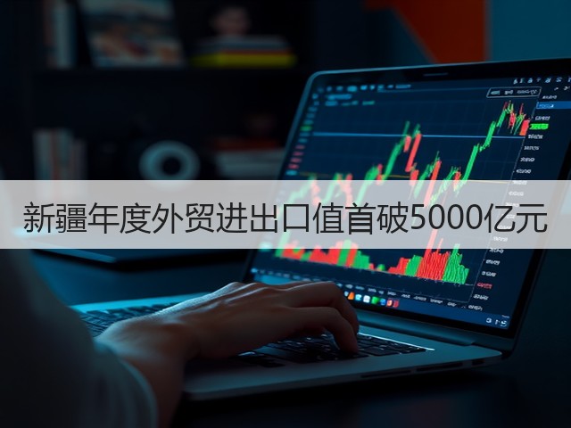 新疆年度外贸进出口值首破5000亿元(图3) 新疆年度外贸进出口值首破5000亿元(图3)
