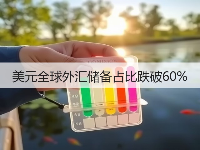 美元全球外汇储备占比跌破60%(图1) 美元全球外汇储备占比跌破60%(图1)