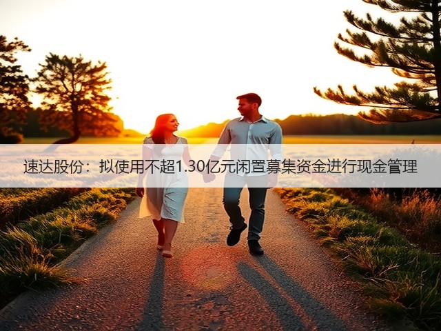 速达股份：拟使用不超1.30亿元闲置募集资金进行现金管理(图3)
