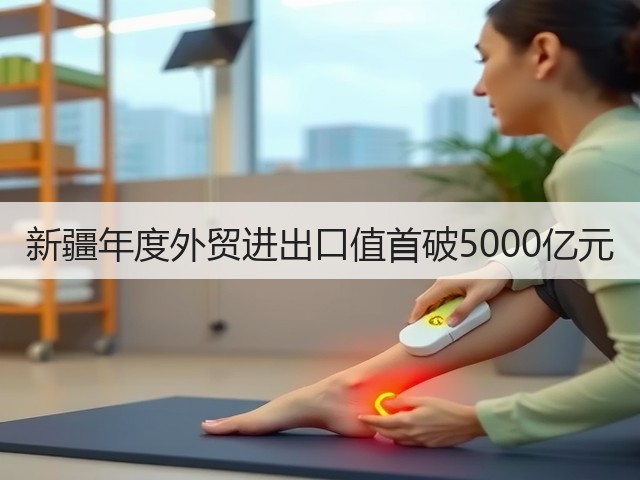 新疆年度外贸进出口值首破5000亿元(图2)