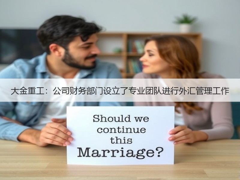 大金重工：公司财务部门设立了专业团队进行外汇管理工作