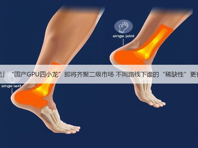「寻芯记」“国产GPU四小龙”即将齐聚二级市场 不同路线下谁的“稀缺性”更有含金量(图3) 「寻芯记」“国产GPU四小龙”即将齐聚二级市场 不同路线下谁的“稀缺性”更有含金量(图3)