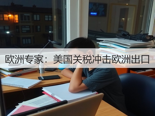 欧洲专家:美国关税冲击欧洲出口(图3) 欧洲专家:美国关税冲击欧洲出口(图3)