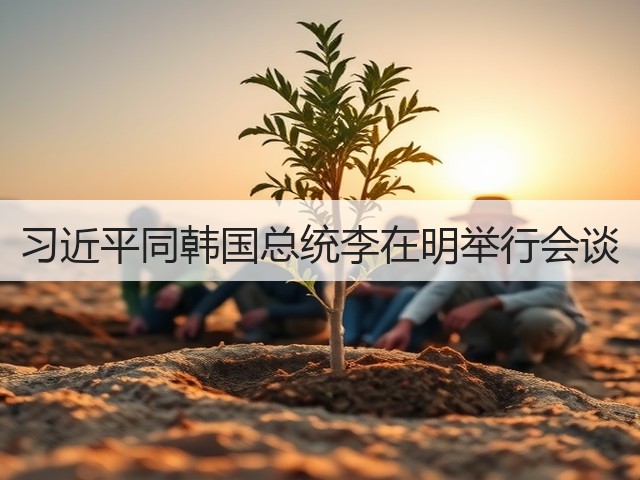习近平同韩国总统李在明举行会谈(图3)