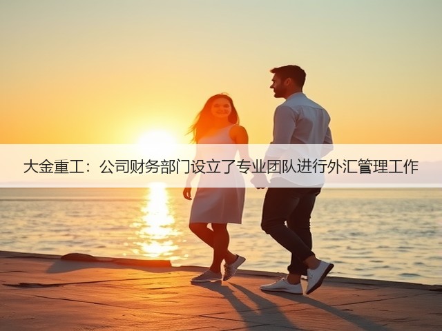 大金重工:公司财务部门设立了专业团队进行外汇管理工作(图1) 大金重工:公司财务部门设立了专业团队进行外汇管理工作(图1)