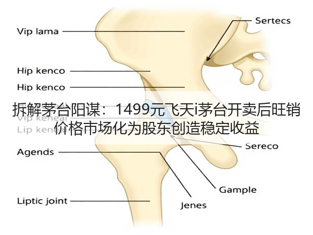 拆解茅台阳谋：1499元飞天i茅台开卖后旺销 价格市场化为股东创造稳定收益(图2)