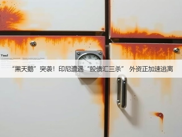 “黑天鹅”突袭!印尼遭遇“股债汇三杀” 外资正加速逃离(图3) “黑天鹅”突袭!印尼遭遇“股债汇三杀” 外资正加速逃离(图3)