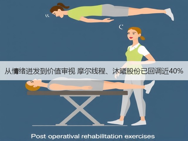 从情绪迸发到价值审视 摩尔线程、沐曦股份已回调近40%(图1)