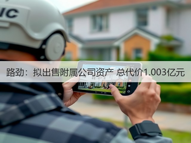 路劲:拟出售附属公司资产 总代价1.003亿元(图2) 路劲:拟出售附属公司资产 总代价1.003亿元(图2)