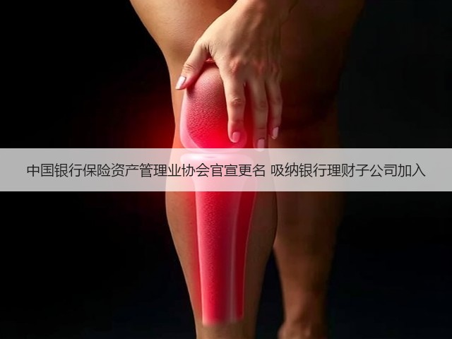 中国银行保险资产管理业协会官宣更名 吸纳银行理财子公司加入(图3) 中国银行保险资产管理业协会官宣更名 吸纳银行理财子公司加入(图3)