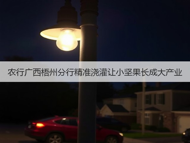 农行广西梧州分行精准浇灌让小坚果长成大产业(图2) 农行广西梧州分行精准浇灌让小坚果长成大产业(图2)