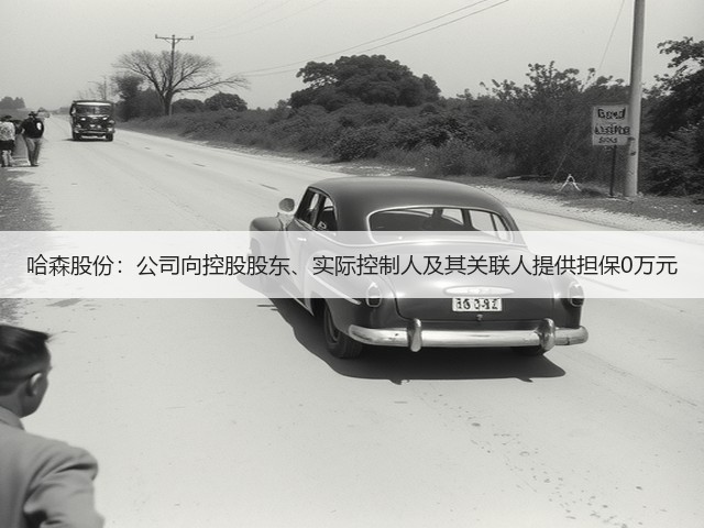哈森股份:公司向控股股东、实际控制人及其关联人提供担保0万元(图2) 哈森股份:公司向控股股东、实际控制人及其关联人提供担保0万元(图2)