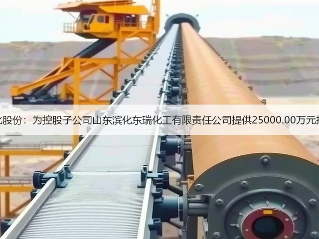 滨化股份：为控股子公司山东滨化东瑞化工有限责任公司提供25000.00万元担保(图1)