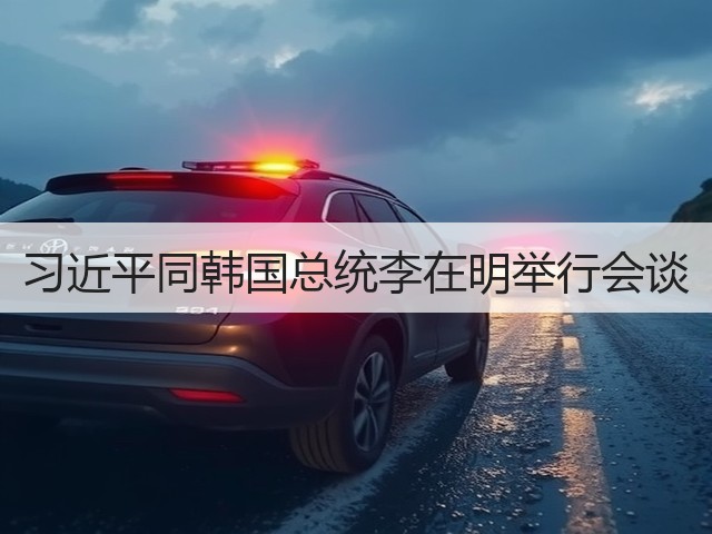 习近平同韩国总统李在明举行会谈(图2)