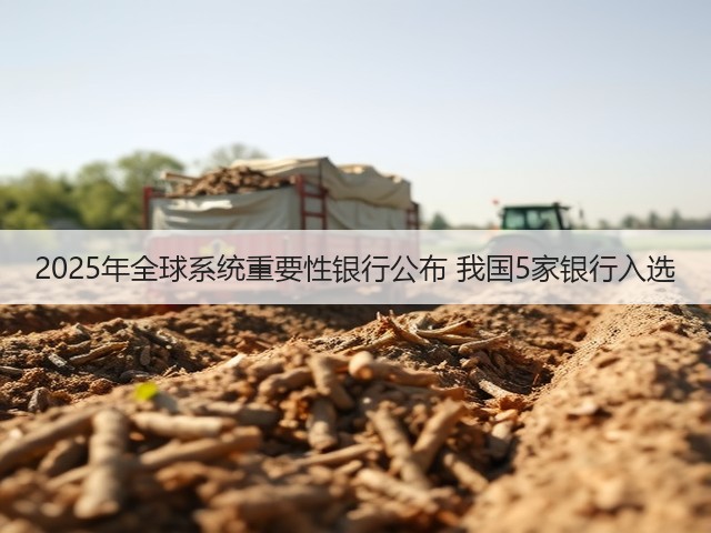 2025年全球系统重要性银行公布 我国5家银行入选(图1)